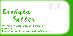 borbala valler business card